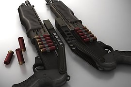 SPAS-12 With Wees