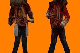 HL2 Zombie & HD2 Zombie