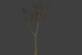 !tree_14