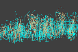 reeds_distant1