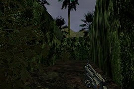 dm_forest