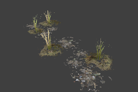 l10swamp_plant_group2