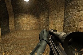 PSG-1 Animation