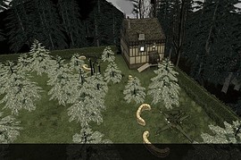 dod_forest_fight