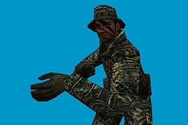 CSO SAF