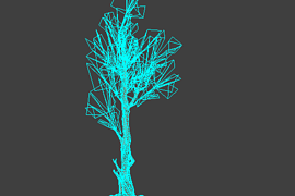 tree_01