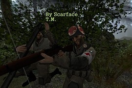 101st_Airborne_div._medic_by_Scarface_T.M