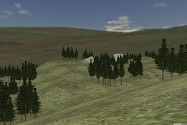 ts_woods_alpha6