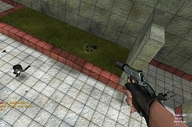 Colt Junior