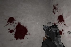 RE2 Desert Eagle