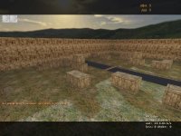 DoD_Akimbo_Aim