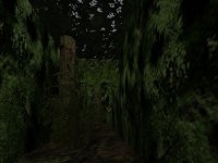 dm_forest