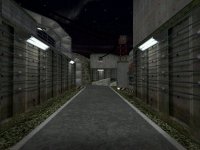 dm_lunatic