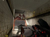 Zombie_Hospital_by_FenMix