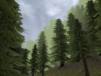 gm_niebla