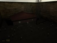 survival