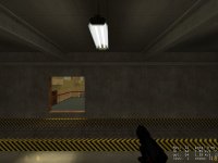 bash_b10