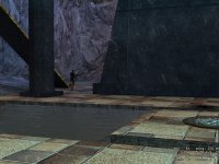 dms_budda2_arena
