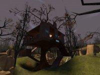 cp_Forest