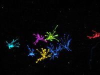 ctf_2009_xmas_rc1