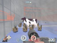heavy_race