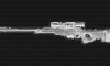 AWP