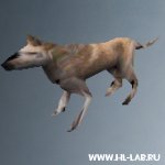 alex_dog.zip
