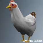 chicken01.zip
