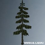 jed_tallpine_med.zip