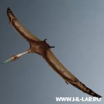 pteradon.zip