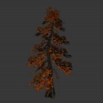 tree_japan_maple_orange.mdl