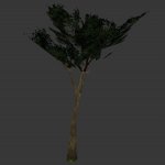 tree_tree9.mdl