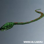 snake