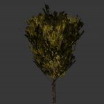 tree22.mdl