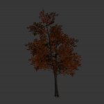 treeot.mdl