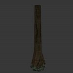 trunk_gras.mdl