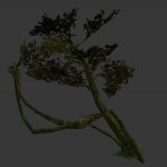 vines.mdl