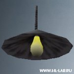 light01