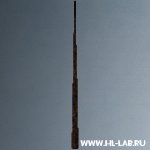 pinetrunk