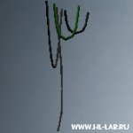 wires_fastline
