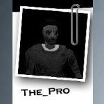 the_pro