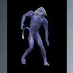 baboon