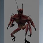cockroach