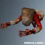 Classic_torso.mdl
