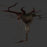 brain_tree.mdl