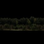 buzz_forest.mdl