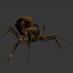 spider.mdl