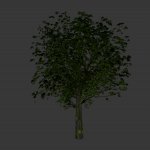 tree2.mdl