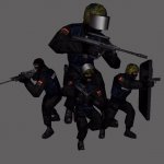 sas