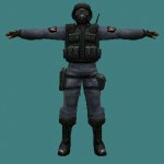 sas